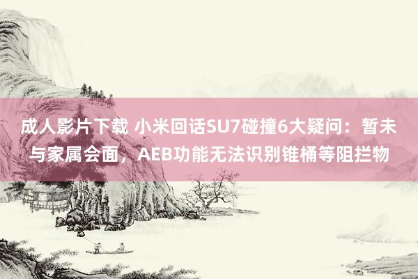 成人影片下载 小米回话SU7碰撞6大疑问：暂未与家属会面，AEB功能无法识别锥桶等阻拦物