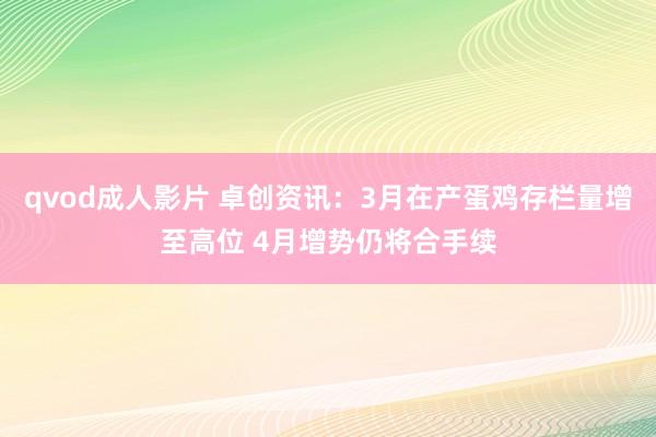qvod成人影片 卓创资讯：3月在产蛋鸡存栏量增至高位 4月增势仍将合手续